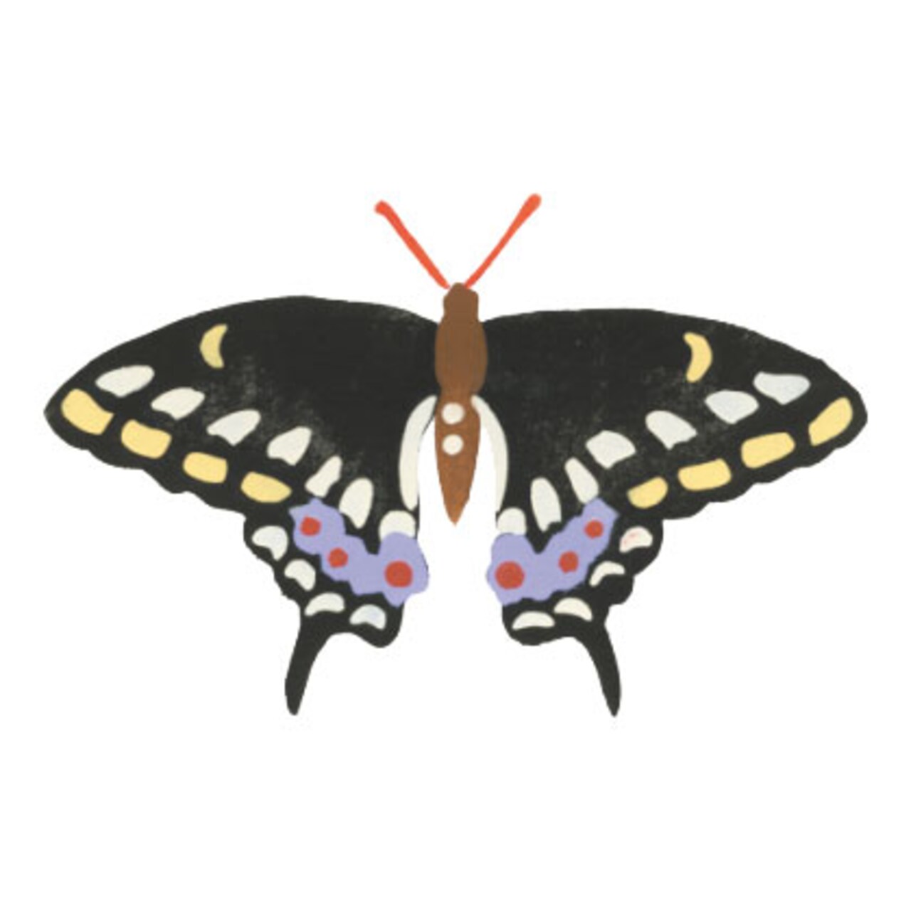 Black Swallowtail Butterfly Wall Stencil | 2686 by Designer Stencils | Animal & Nature Stencils | Reusable Art Craft Stencils for Painting on Walls, Canvas, Wood | Reusable Plastic Paint Stencil for Home Makeover | Easy to Use & Clean Art Stencil